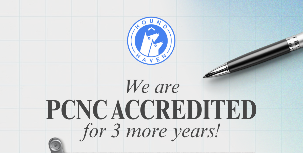 Hound Haven Reaccredited by PCNC for Another Three Years