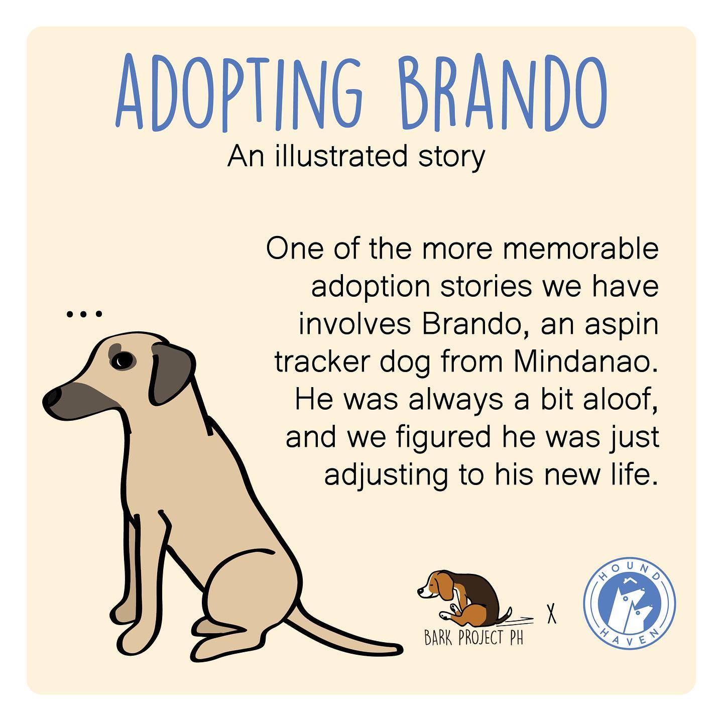 Adopting Brando: An illustrated story